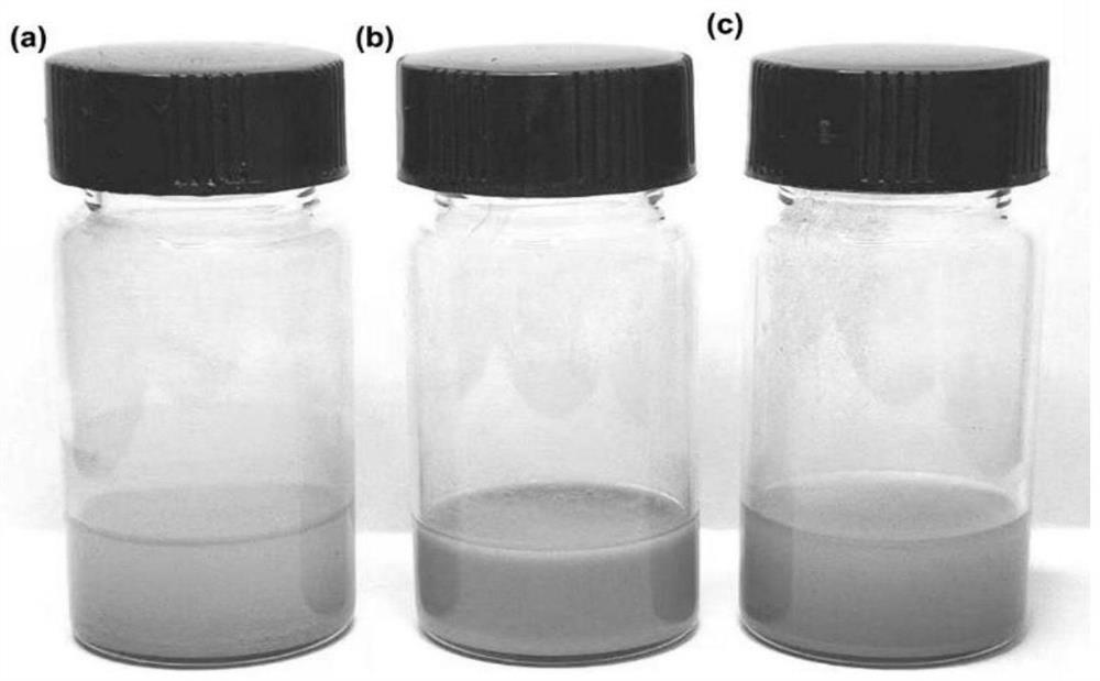 Manganese titanate nanoplate @ citric acid composite material, preparation thereof and application of composite material in preparation of antitumor drugs