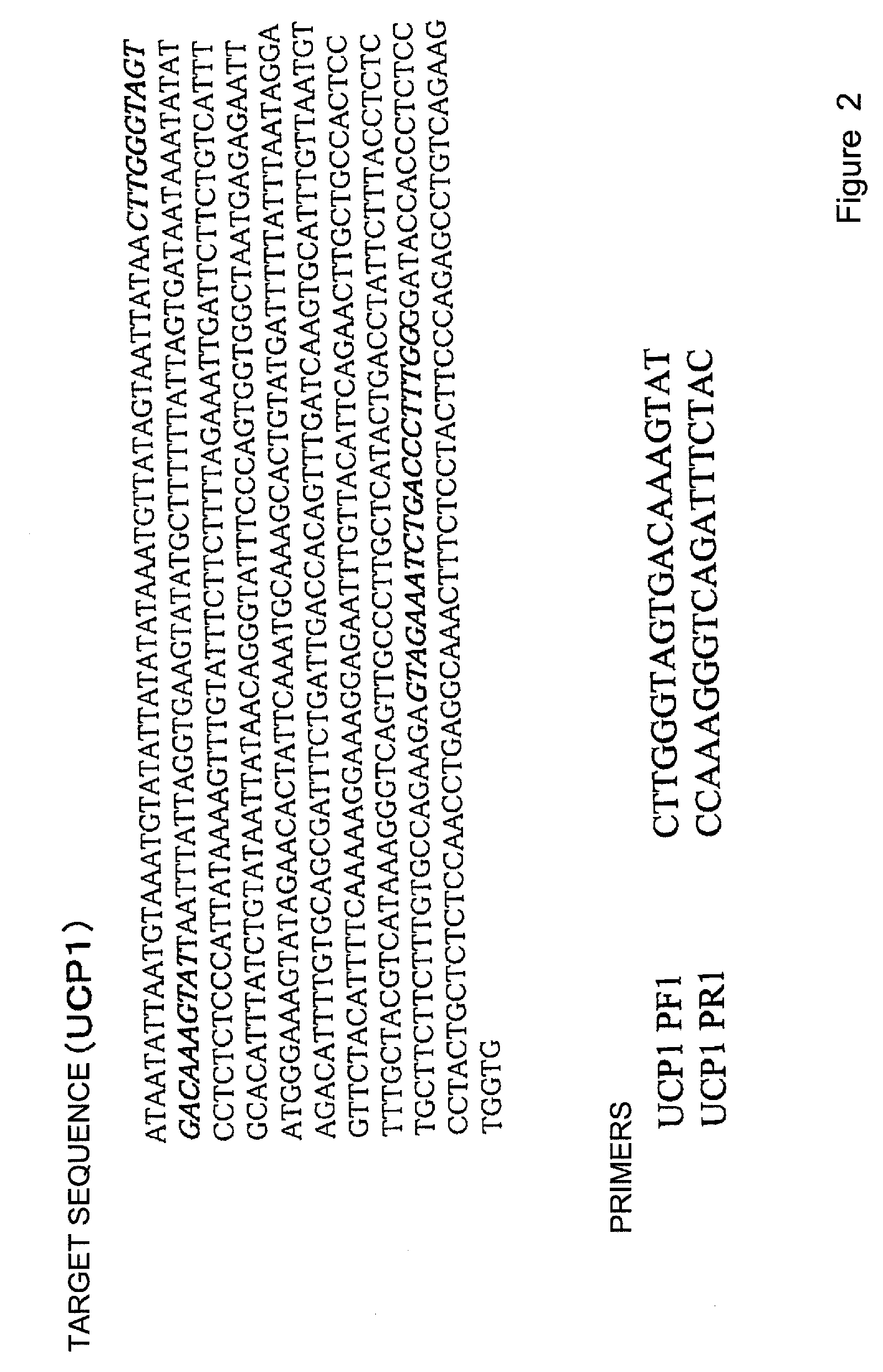 Method for detecting and amplifying nucleic acid