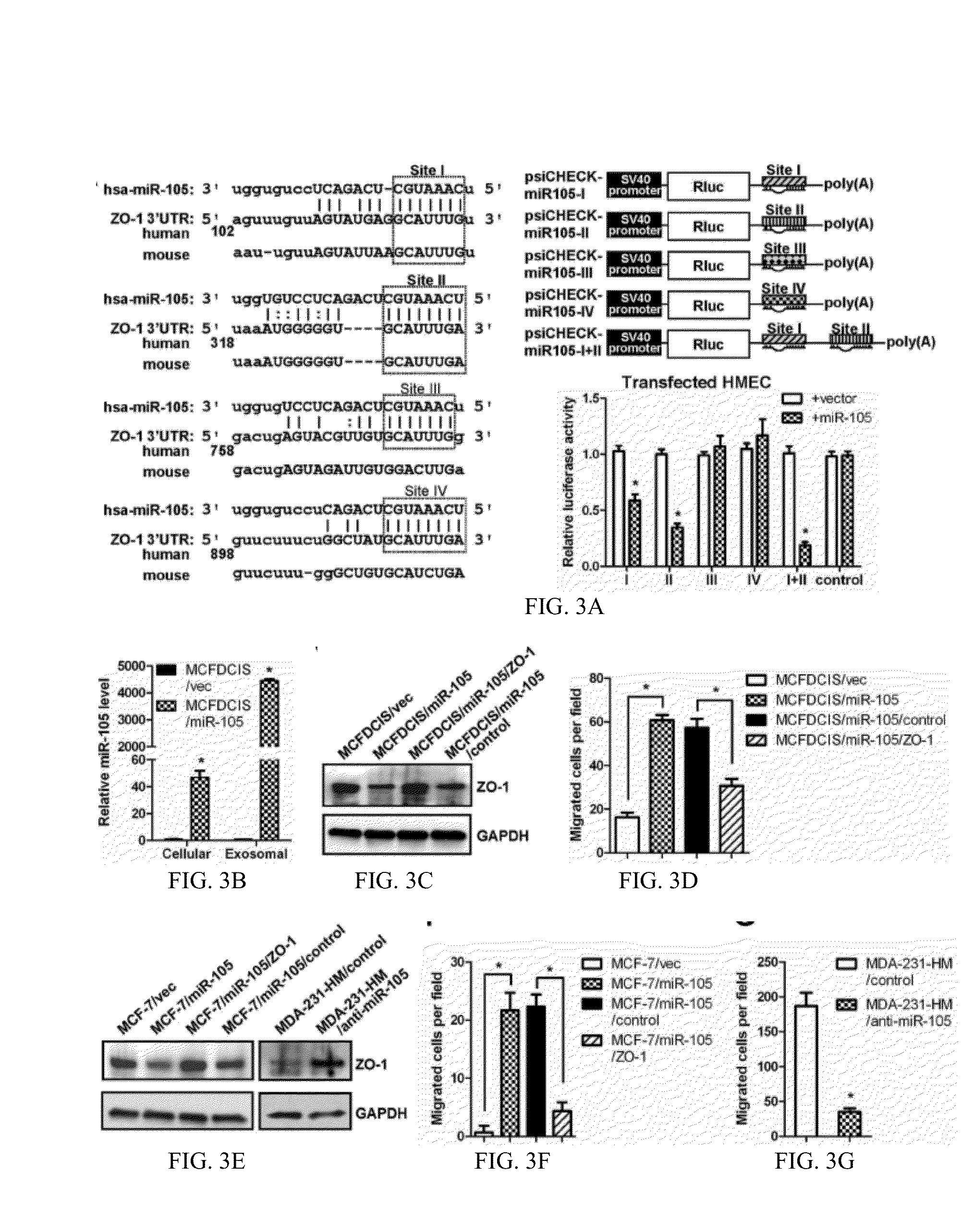 Methods and compositions for treatment of breast cancer
