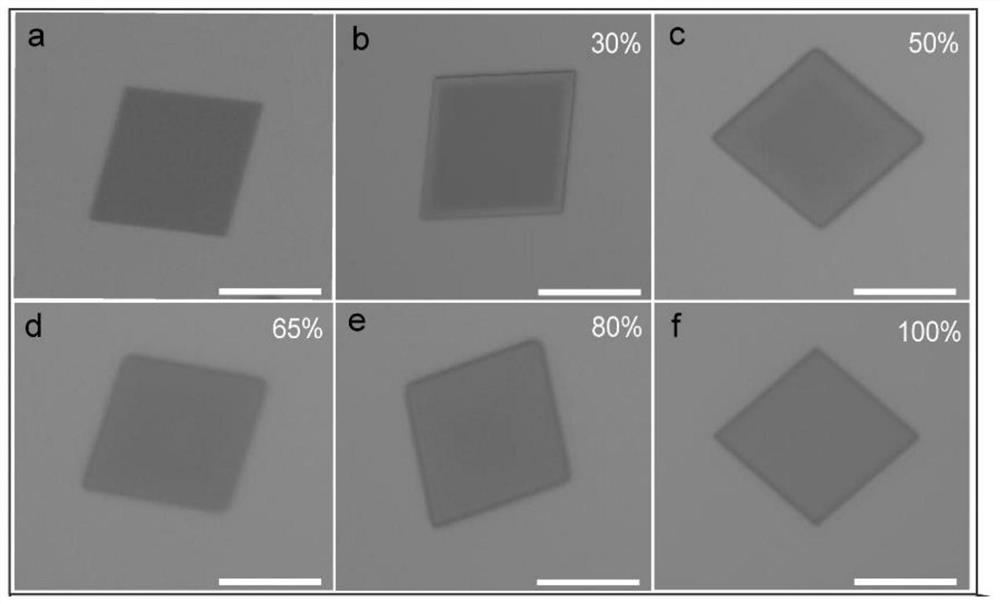 Preparation method and application of molybdenum carbide two-dimensional material