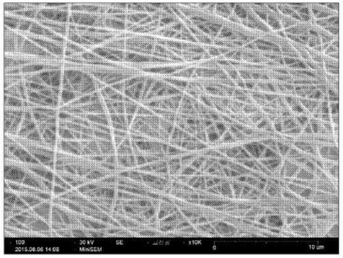 Yarn for cell culture support, and fabric for cell culture support including same