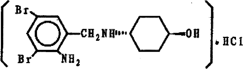 Ambroxol hydrochloride liquid preparation and preparation method thereof