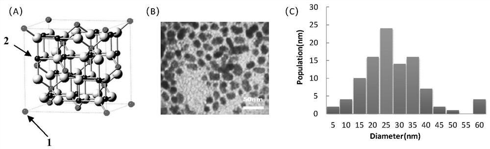 Copper-containing ferrite nanoparticles as well as preparation method and antibacterial effect thereof