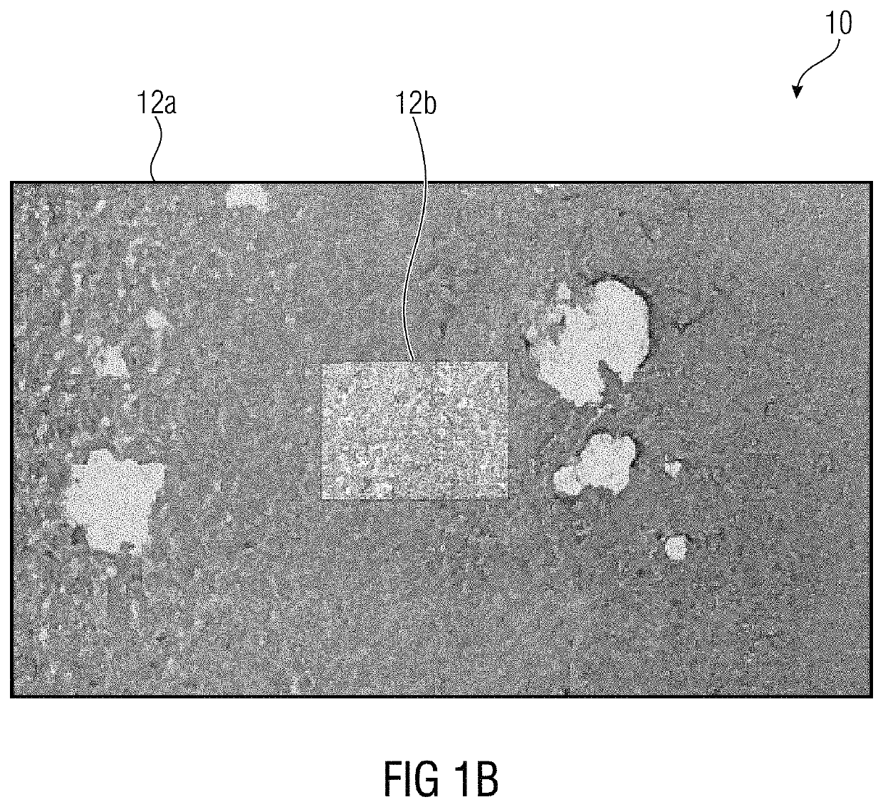 Method and device for generating a microscopy panoramic representation