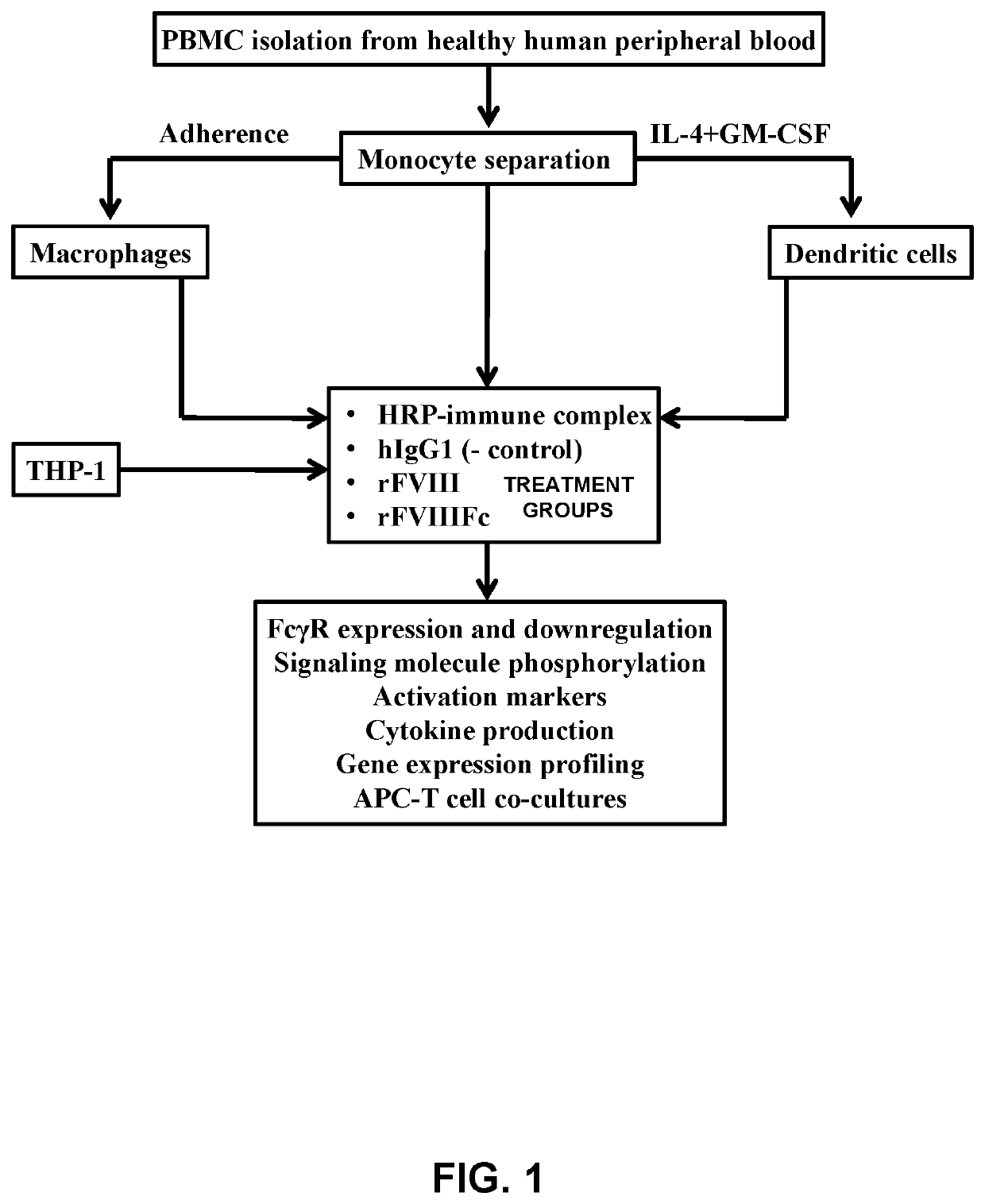 Methods of inducing immune tolerance to clotting factors