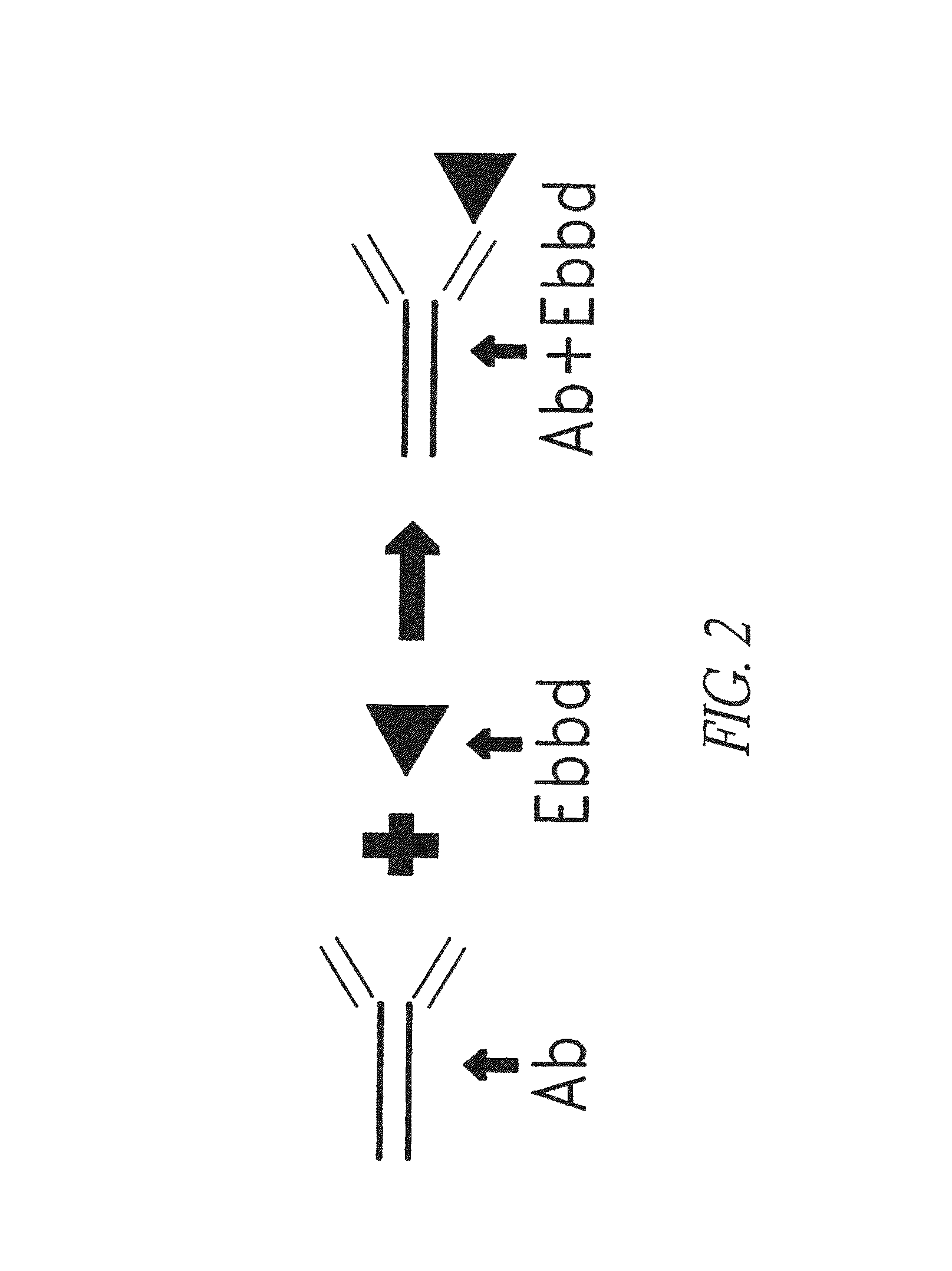 Method for making targeted therapeutic agents