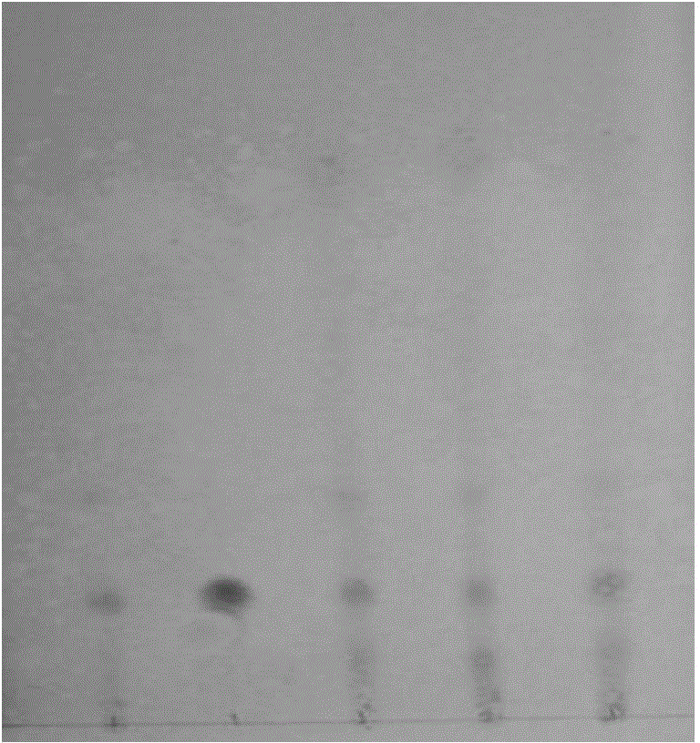 Method for identifying harpagoside in ginseng ultrafine powder