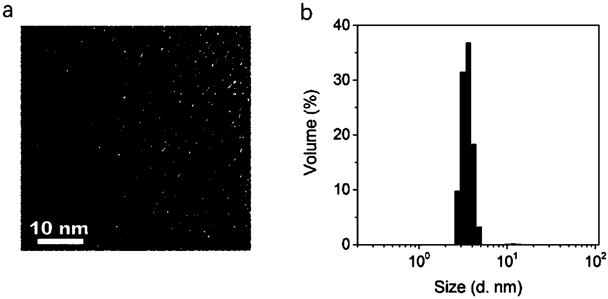 Grain-shaped liquid metal nanoparticles as well as synthetic method and application thereof