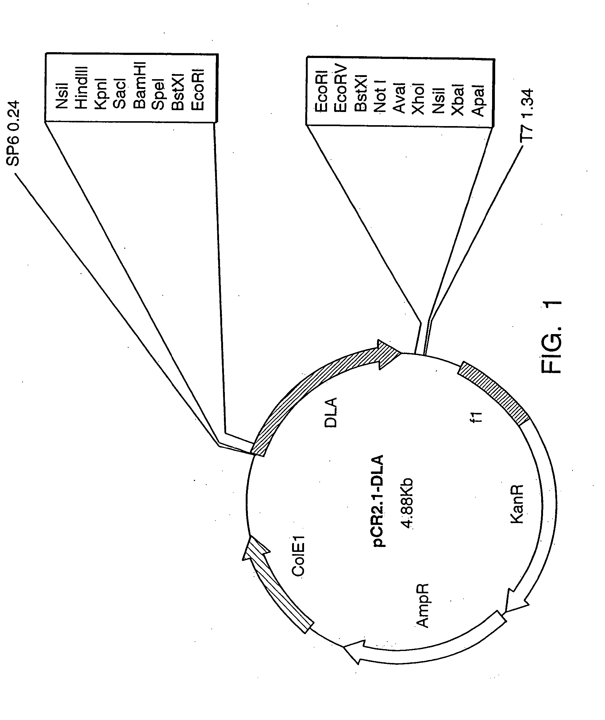 Lectin-derived progenitor cell preservation factors and methods of use