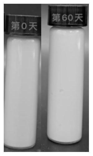 Preparation method and application of modified egg white protein