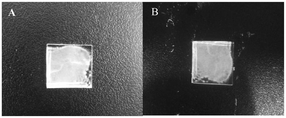 Perovskite quantum dot glaze, photovoltaic glass and preparation method thereof, and photovoltaic module