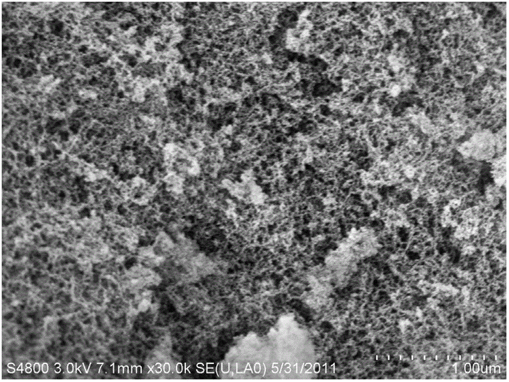 Nanoscale docetaxel and preparation method thereof