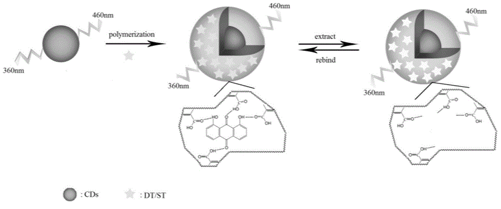 Preparation method for fluorescence sensing material based on molecular imprinting and carbon dots