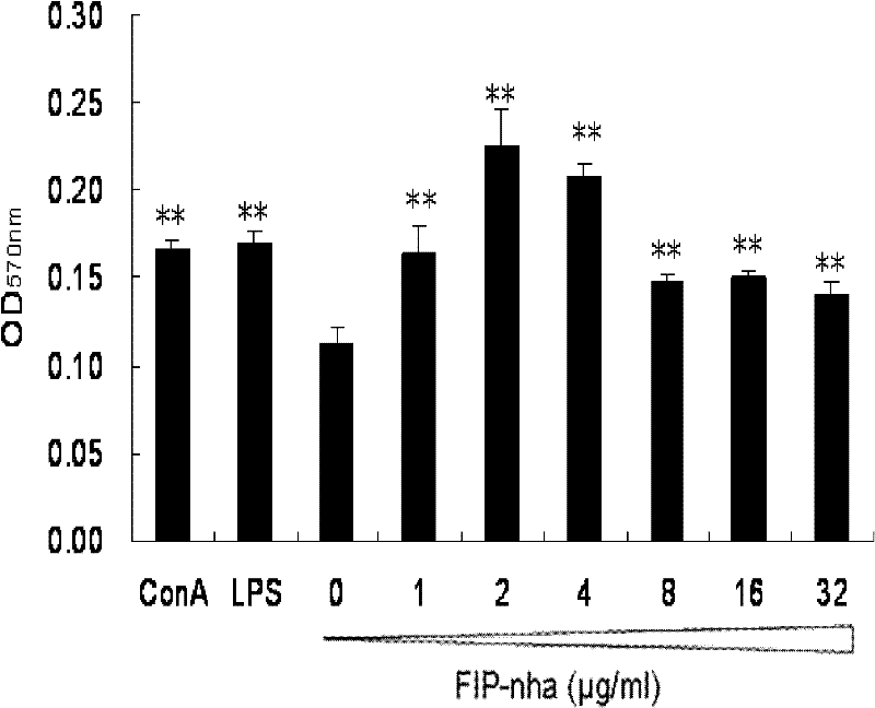 Novel fungal immunomodulatory protein FIP-NHA with antineoplastic activity and gene thereof