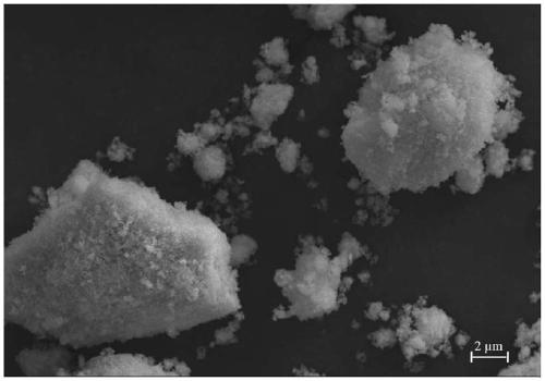 Bismuth ferrite/bismuth tungstate heterojunction photocatalytic material and preparation method thereof