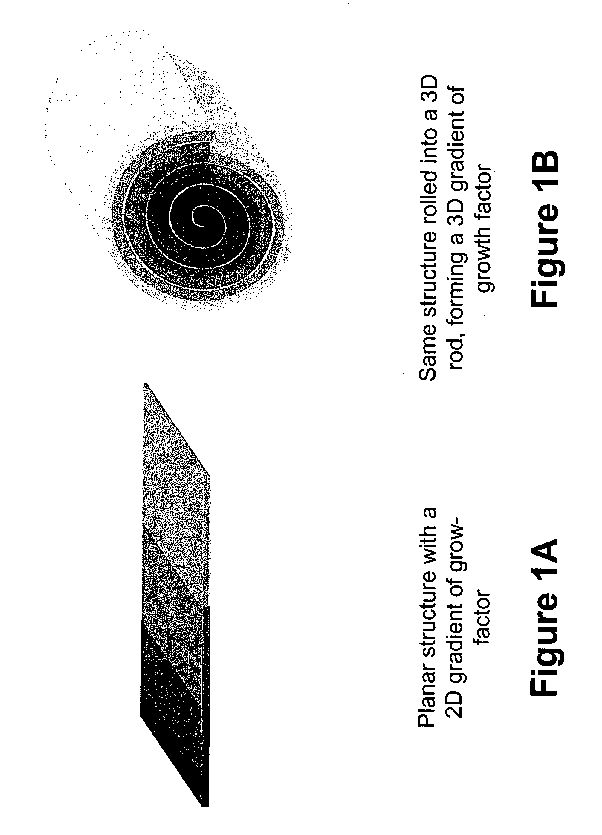 Biocompatible polymers and Methods of use