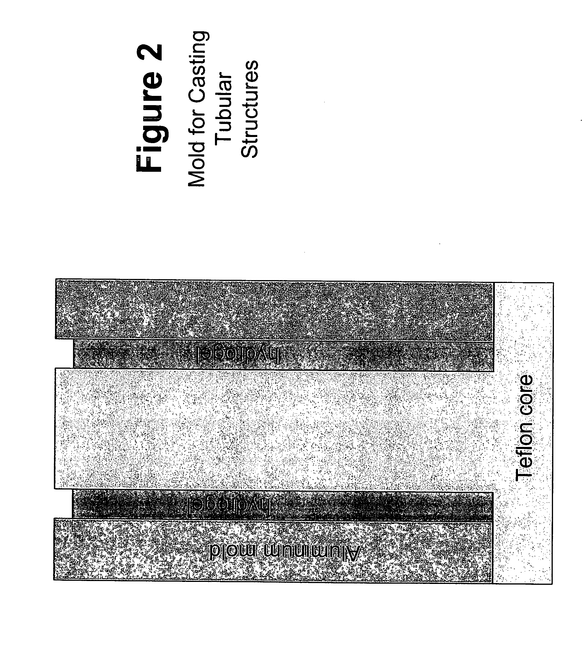 Biocompatible polymers and Methods of use