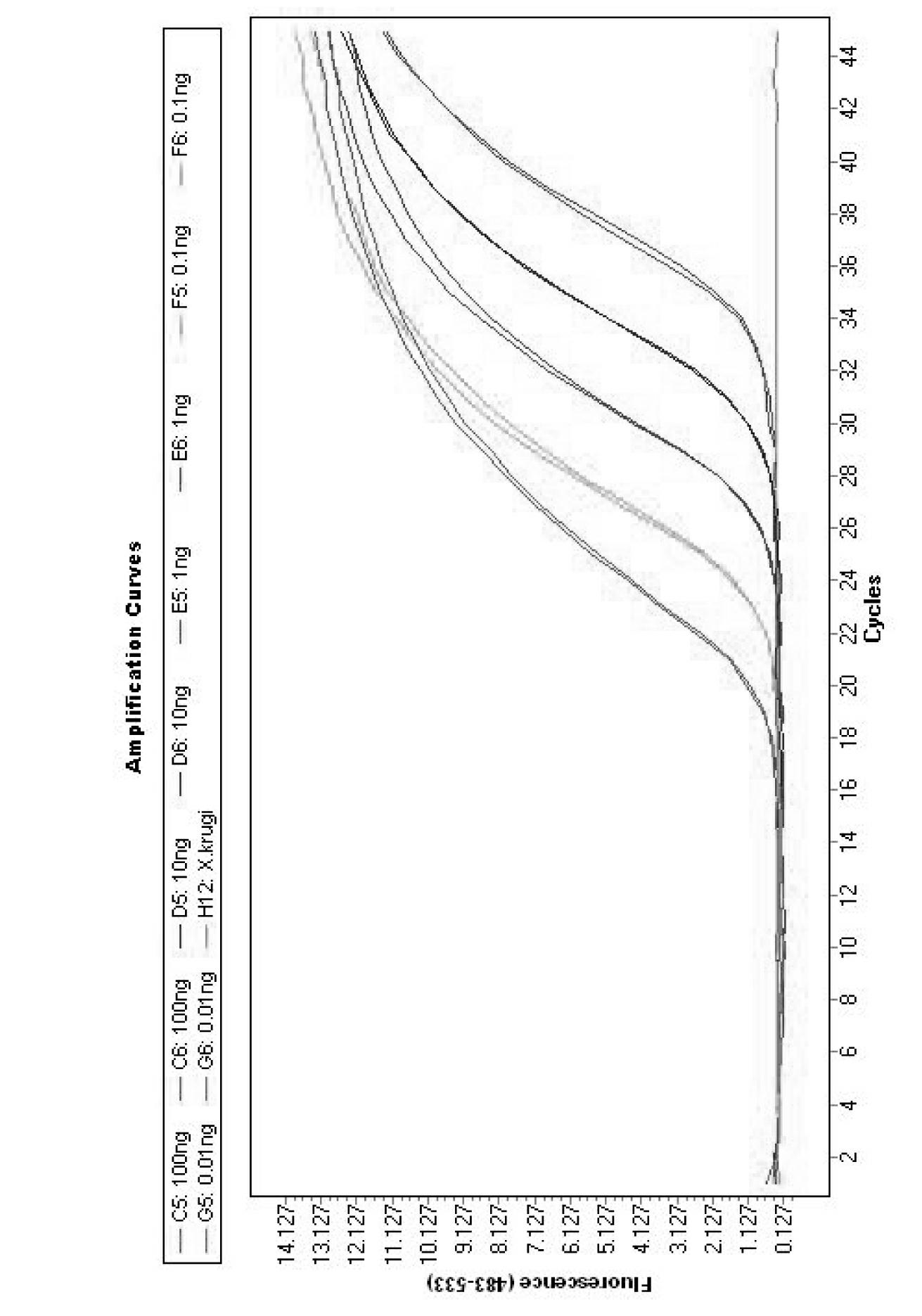 Molecular identification method for xiphinama brevicolle