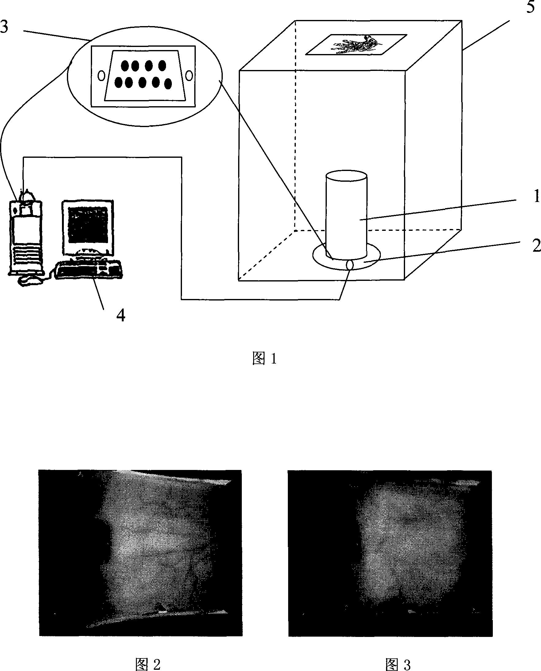 Personal identification method and near-infrared image forming apparatus based on palm vena and palm print