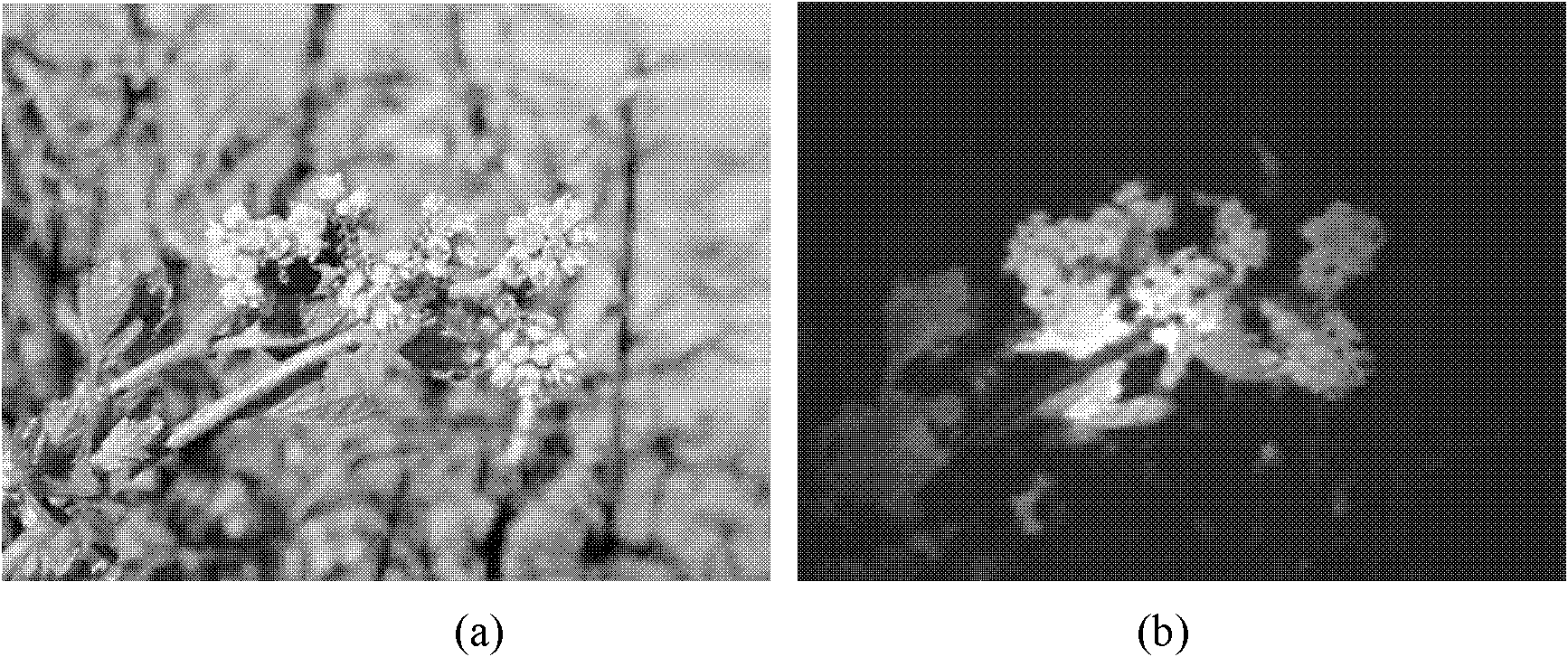 Image importance detection method based on photographic element