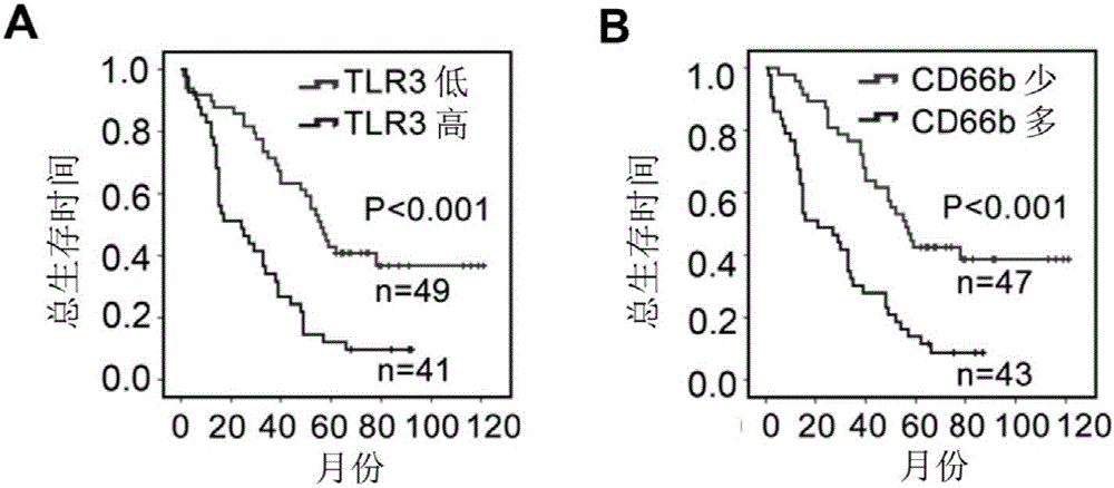 Application of TLR3 in predicting tumor transfer, evaluating prognosis and selecting prevention and treatment schemes