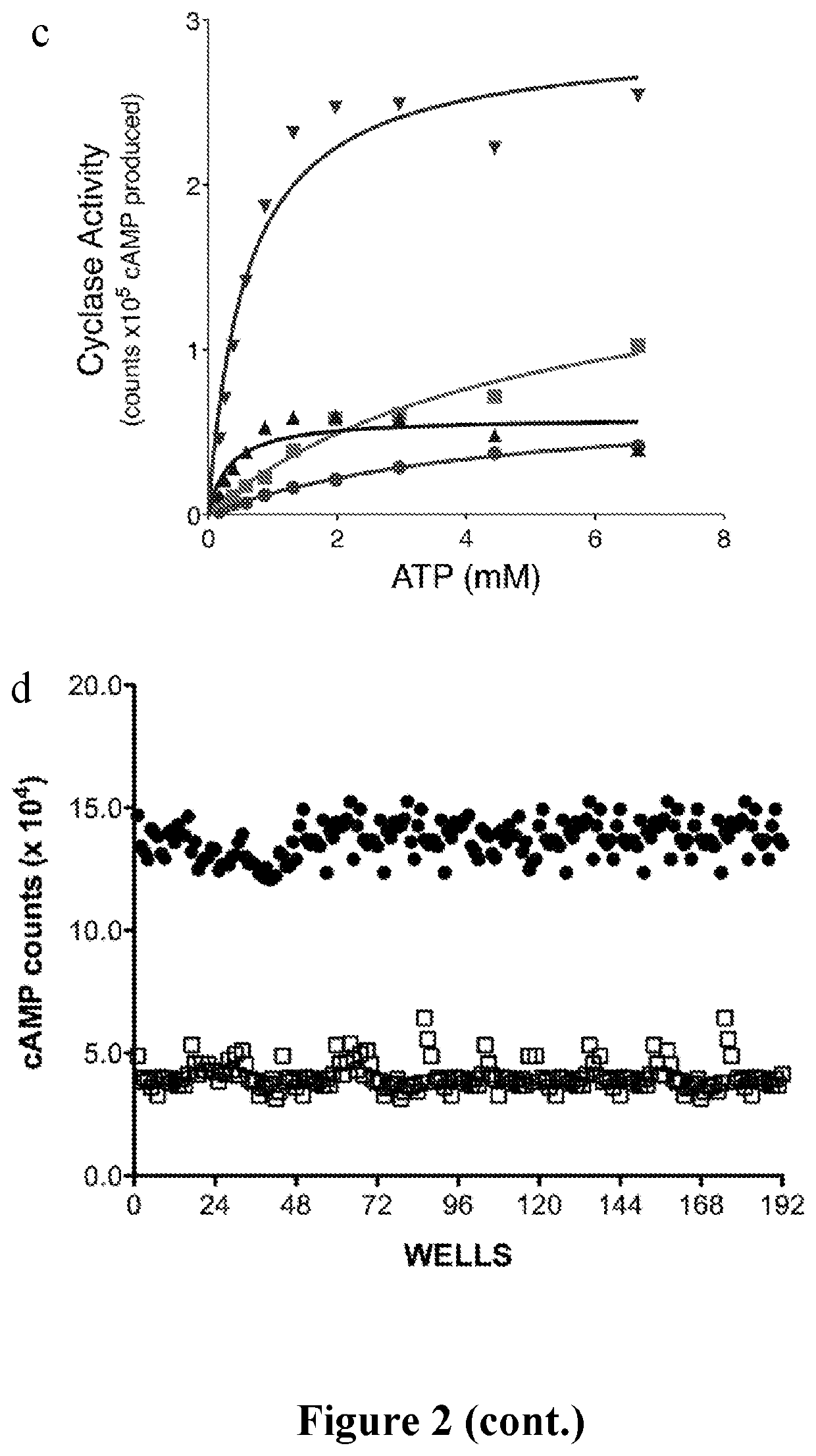 Inhibitors of soluble adenylyl cyclase