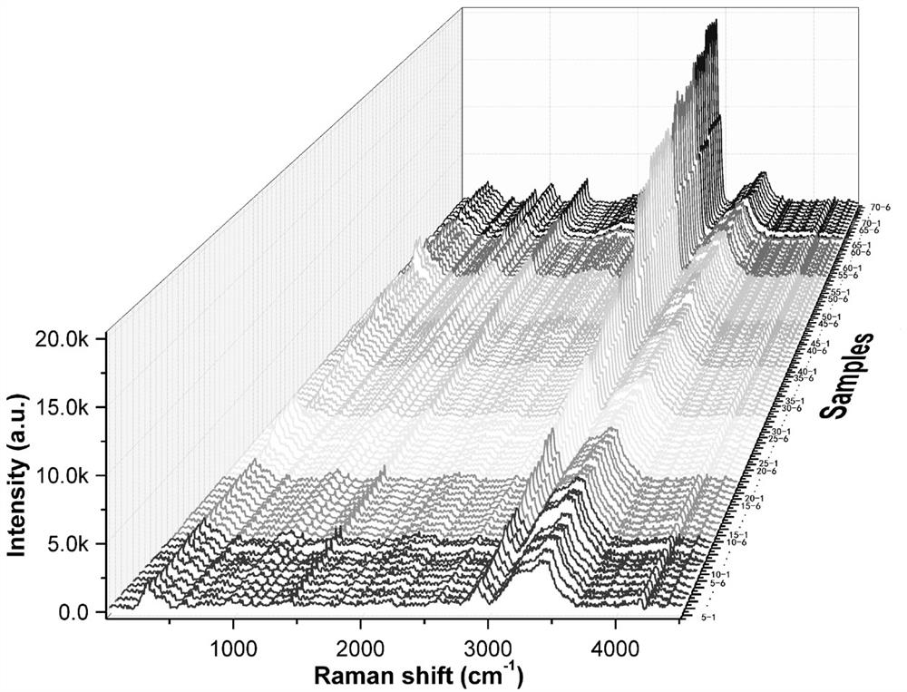 Multi-light-source Raman spectrum analysis method and application thereof