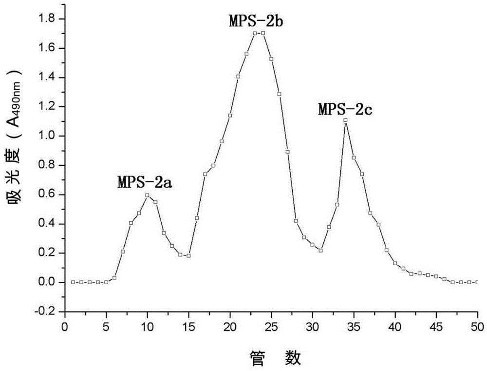 Folium mori polysaccharide as well as separation and purification preparation method and application thereof