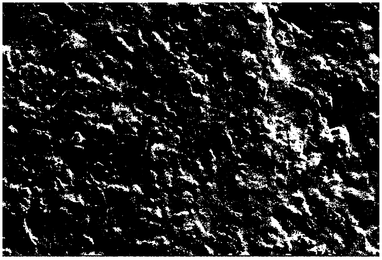 A kind of composite polymer sludge dewatering agent and preparation method thereof