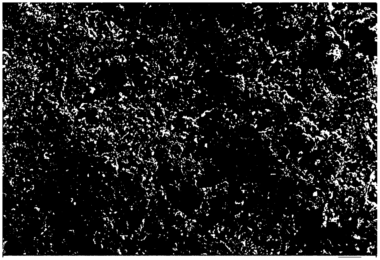 A kind of composite polymer sludge dewatering agent and preparation method thereof