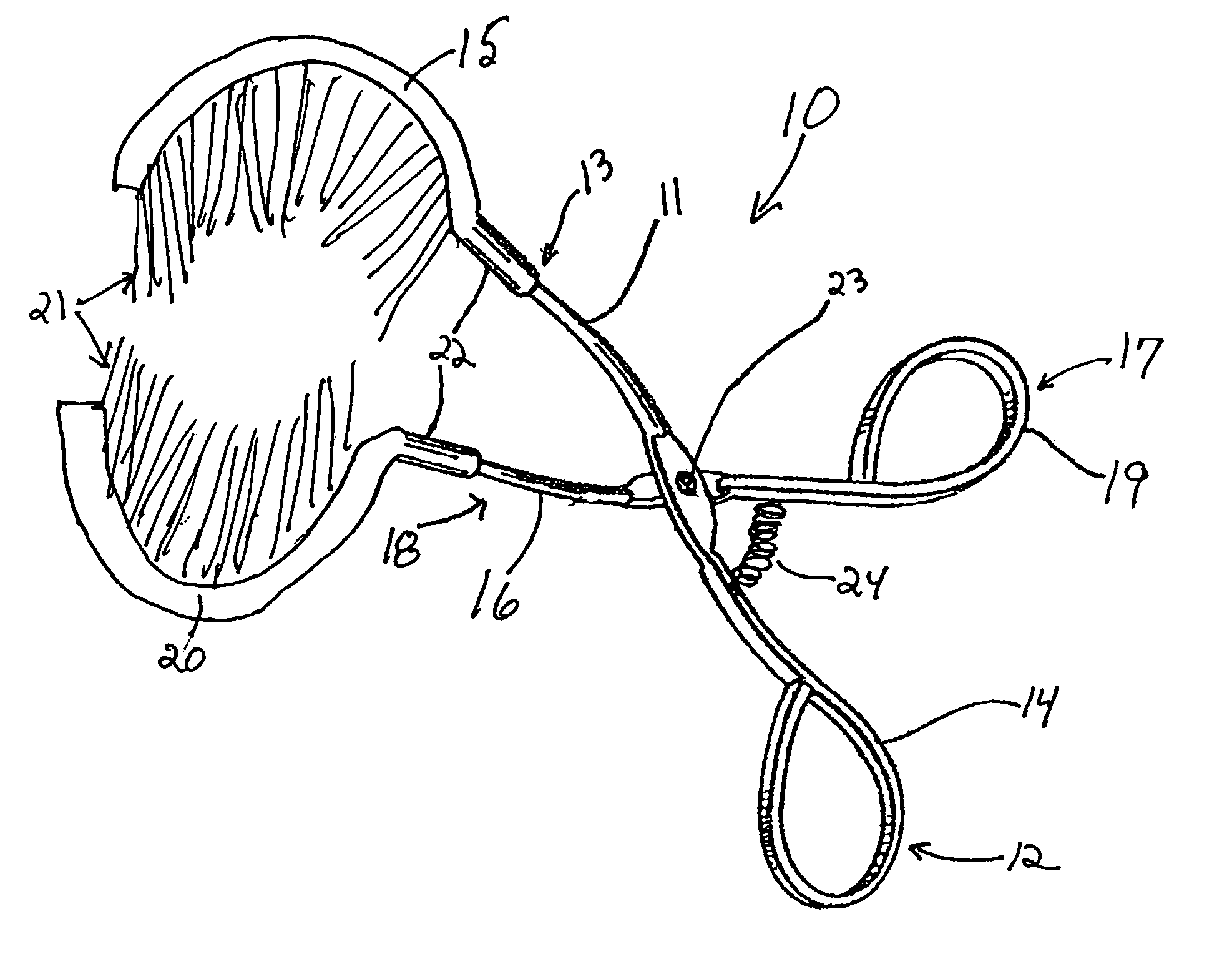 Animal tail or limb grooming brush