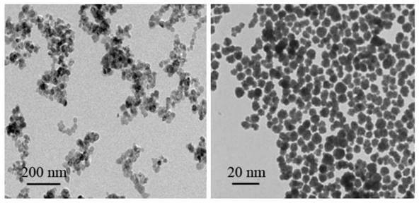 A novel rare earth nanometer dual-mode imaging agent and its preparation method and application