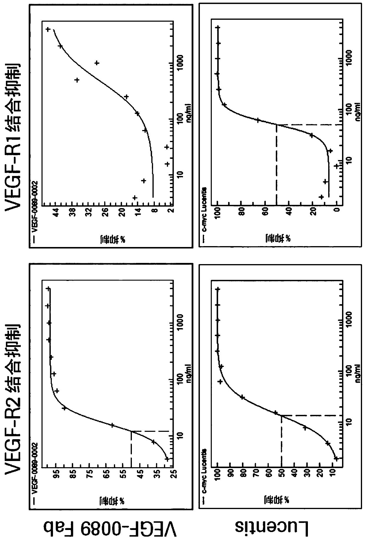 Method for improving VEGF-receptor blocking selectivity of an anti-VEGF antibody