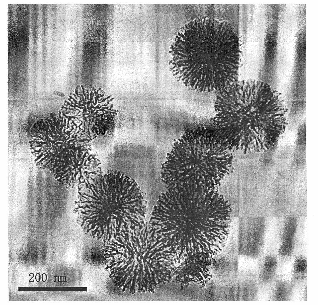 Method for preparing novel mesoporous silica nano balls