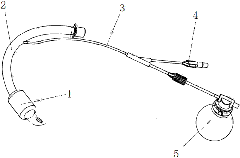 Cuff tracheal intubation device with automatic pressure stabilizing function