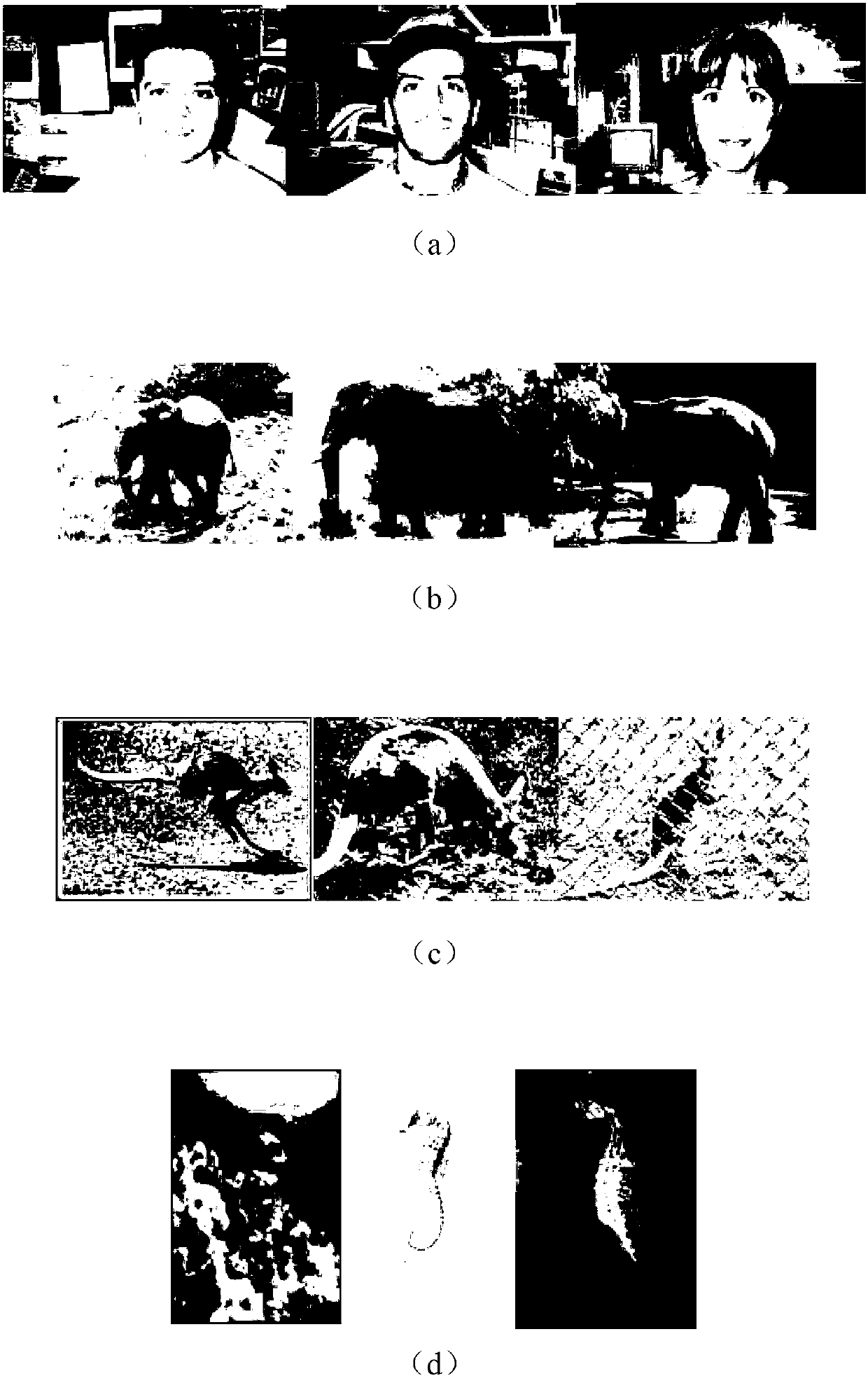 Image classification method based on hierarchical SIFT (scale-invariant feature transform) features and sparse coding