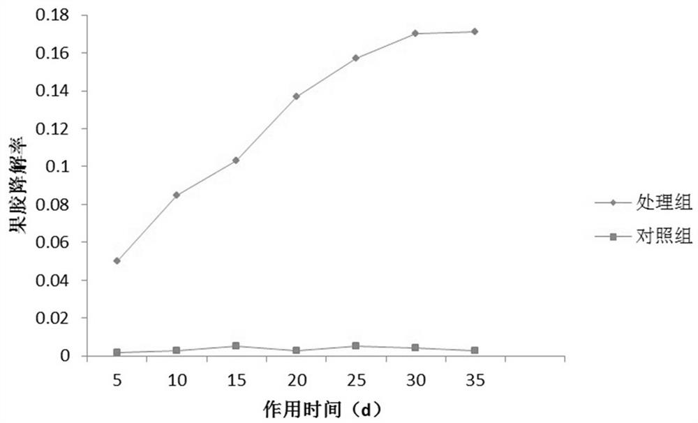 Application of Bacillus subtilis in degrading pectin in tobacco products