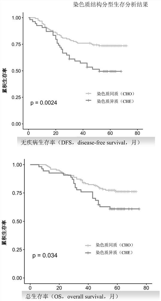 Triple comprehensive tumor analysis system based on pathological tissue and application