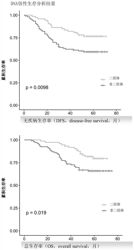 Triple comprehensive tumor analysis system based on pathological tissue and application