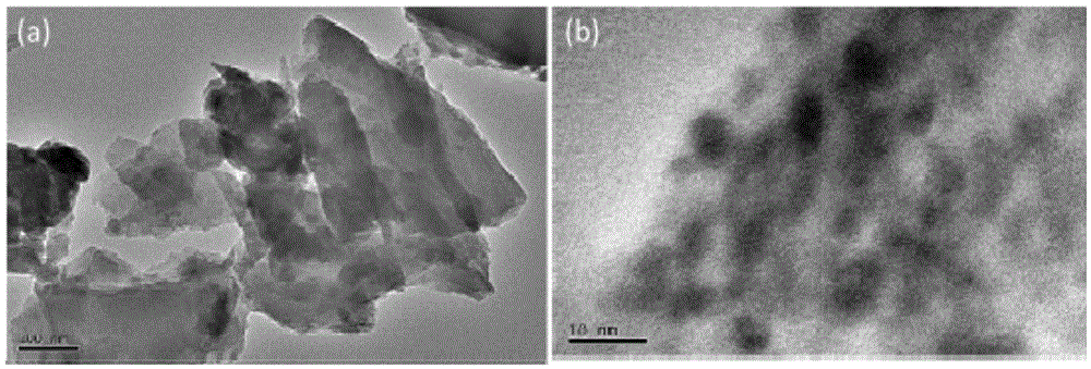 Preparation method of anode material, namely nitrogen-doped SnS/C composite nanomaterial for lithium battery