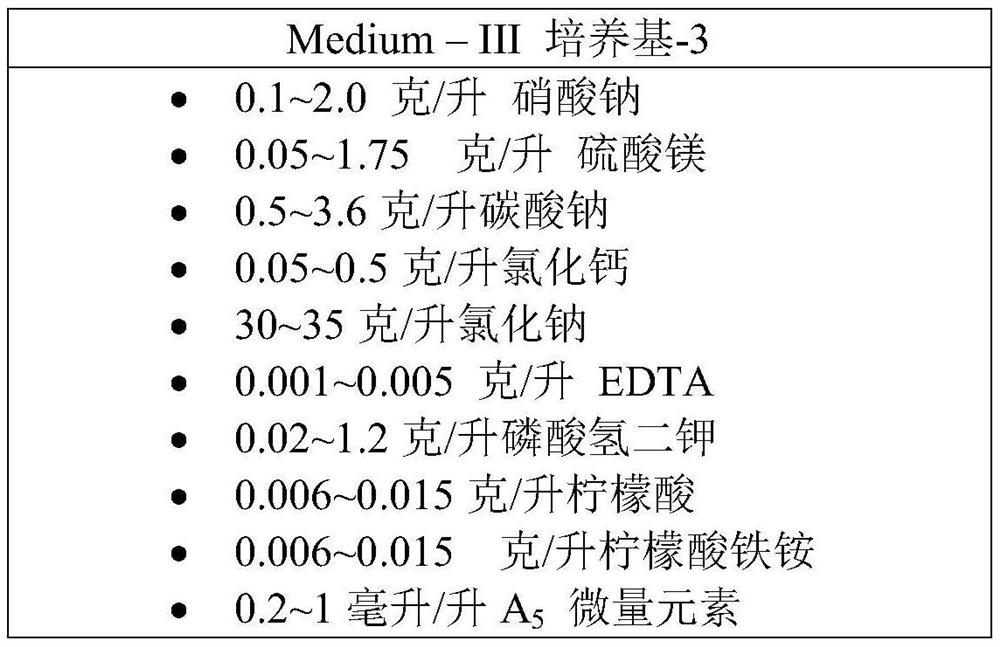 Method for producing polyunsaturated fatty acid by applying coccolithophyte microalgae Pleurophylla carinii