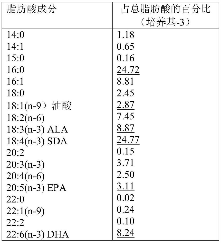 Method for producing polyunsaturated fatty acid by applying coccolithophyte microalgae Pleurophylla carinii