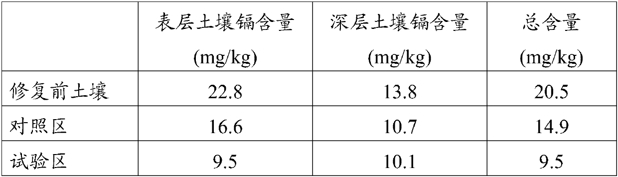 Method for repairing heavy metal contaminated soil by combining plants and fungi