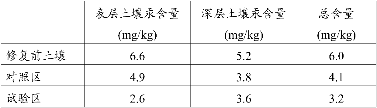 Method for repairing heavy metal contaminated soil by combining plants and fungi