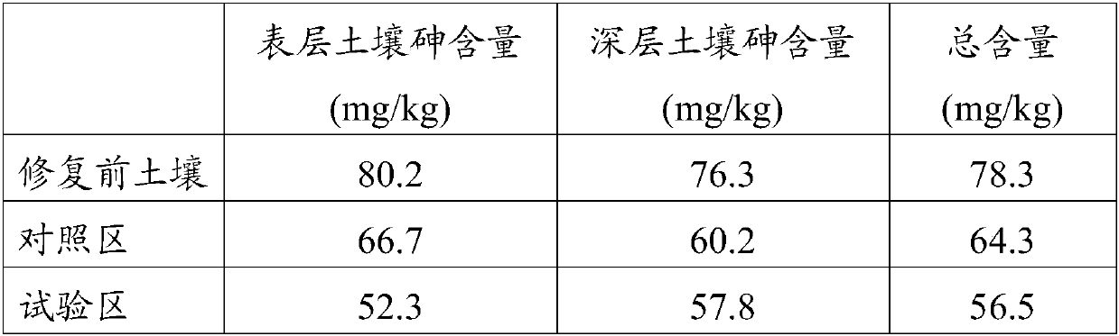 Method for repairing heavy metal contaminated soil by combining plants and fungi