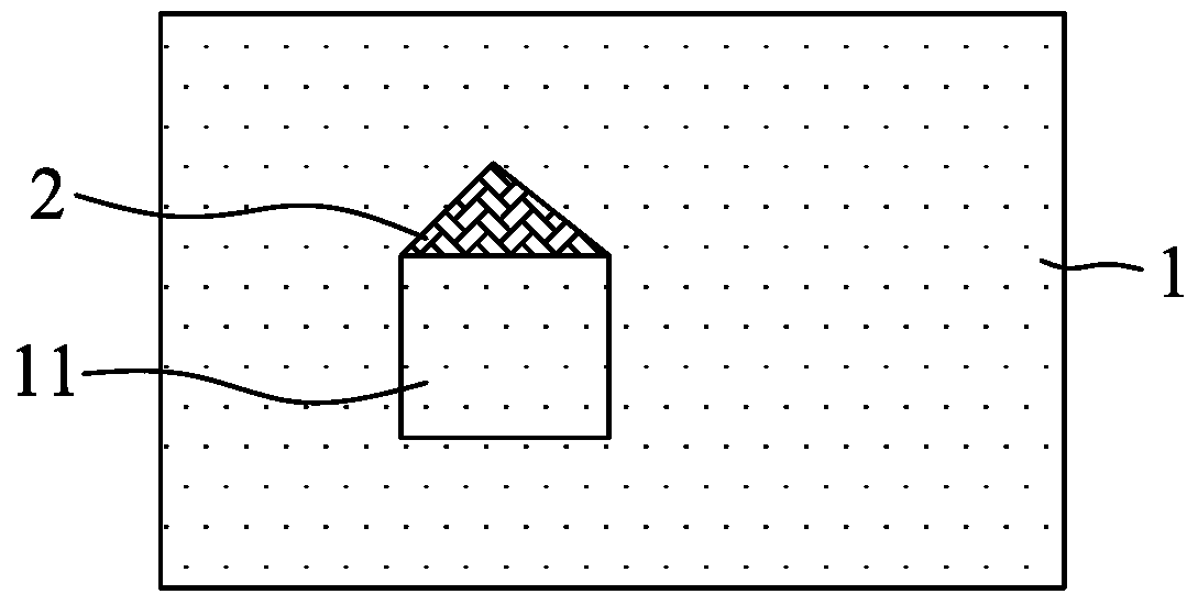 A shell and its preparation method