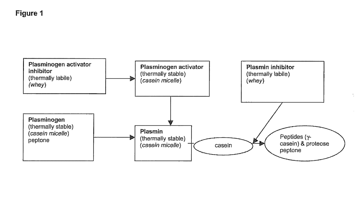 Process for preserving low-lactose or lactose-free milk product