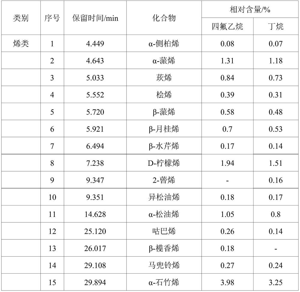 Preparation method and antibacterial application of camphor tree essential oil