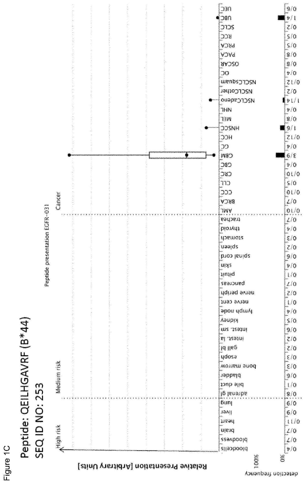 B*44 restricted peptides for use in immunotherapy against cancers and related methods