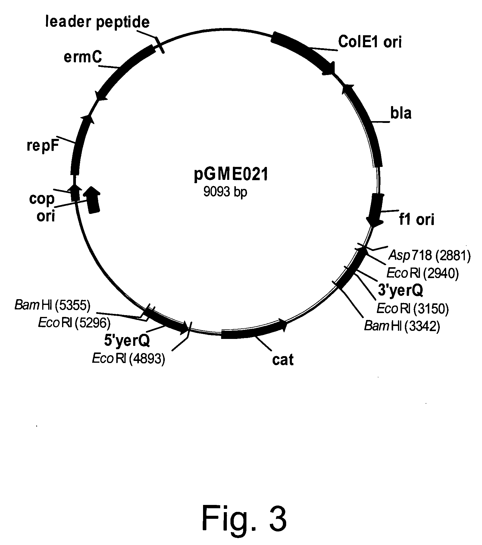 Methods for identifying markers of antimicrobial compounds